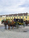 Horse team near the Schonbrunn Palace