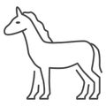 Horse thin line icon, Farm animals concept, stallion sign on white background, standing elegance horse silhouette icon Royalty Free Stock Photo