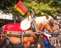 horse towing a float at St Remy parade, Provence, France