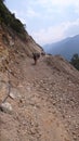 Horse Trail Mountains Peru South America Dusty