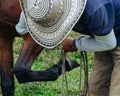 Horse trainer lifting the front leg of a horse Royalty Free Stock Photo