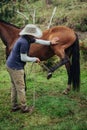 Horse trainer rubbing mare`s leg