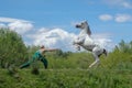 Horse training at ecological farm in country side from Romania