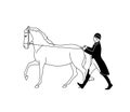 Horse training in the hands, classic dressage