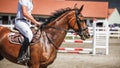 Horse training jump over hurdles Royalty Free Stock Photo