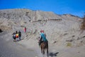 Horse transport in the area of Mount Bromo : Bromo, Indonesia - August 14, 2019