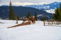 Horse transportation of round timber in the snow