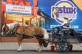 Horse transportation for tourists in Memphis