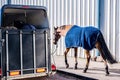 Horse transportation van , equestrian sport Royalty Free Stock Photo