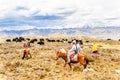 Horse Trekker and Yak herds with nomads in the highlands of Sichuan