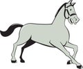 Horse Trotting Side Cartoon Isolated