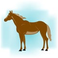 Horse on turn blue background