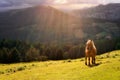 Horse in Urkiola mountains Royalty Free Stock Photo