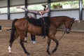 Horse Vaulting Equestrian Girl Royalty Free Stock Photo