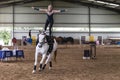 Horse Vaulting Equestrian Woman Royalty Free Stock Photo