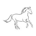 Horse vector illustration - black and white outline. beautiful horse, horse icon, vector sketch illustration, the horse is