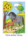 Horse vector illustration Royalty Free Stock Photo