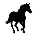 Horse Vector Illustration. Horse racing. Isolated silhouette Royalty Free Stock Photo