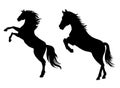 Horse vector illustration isolated on white background. Royalty Free Stock Photo