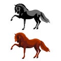 Horse Vector Illustration. The horse knocks hoof Royalty Free Stock Photo