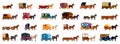 Horse vehicles icons set cartoon vector. Animal work Royalty Free Stock Photo