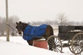 Horse and wagon Royalty Free Stock Photo