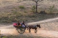 A horse wagon in Bagan, Myanmar Royalty Free Stock Photo