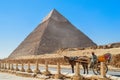 Horse Wagon at Giza Pyramids Royalty Free Stock Photo