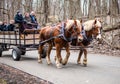 Horse and wagon ride in Indiana USA Royalty Free Stock Photo