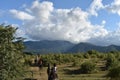 Horseback riding on highlands