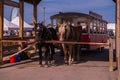 Horse walking car. Vintage transport. Attraction. Carriage with two horses. Old tram with passengers