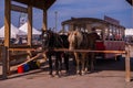 Horse walking car. Vintage transport. Attraction. Carriage with two horses. Old tram with passengers