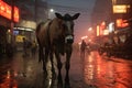 a horse walking down a street at night