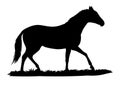 Horse walking silhouette vector.Animal illustartion