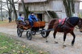 Horse walks in the park in the estate of Count Leo Tolstoy in Yasnaya Polyana in October 2017