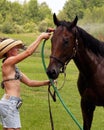 Horse Wash Hat Girl in shorts 2 Royalty Free Stock Photo