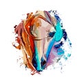 Horse . Watercolor painting on canvas . Logo design. Royalty Free Stock Photo
