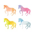 Horse Watercolor set Royalty Free Stock Photo