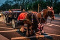 Horse wearing a hat with reindeer antlers and other Christmas decorations, haulin a cart decorated with christmas lights of Royalty Free Stock Photo