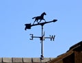 Horse Weather Vane On Roof