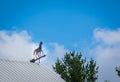 Horse weathervane