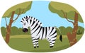 Horse With White And Black Stripes In Nature Habitat. Cute Zebra, Wild Animal In African Savanna