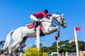 Equestrian Horse White Woman Red Jump Poles