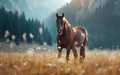 Horse in the wild, wild nature and animals concept Royalty Free Stock Photo