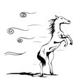 Horse in wind