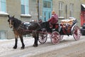 Horse in winter in Quebec City serve as transportation to mostly tourist