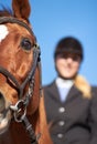 Horse, woman and closeup for horseriding ready to start sport, competition and training with rider. Outdoor, sun and Royalty Free Stock Photo