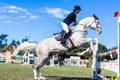 Equestrian Horse White Woman Upright Jump