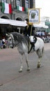 Horse woman riding a withe horse