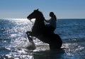 Horse woman in the sea Royalty Free Stock Photo